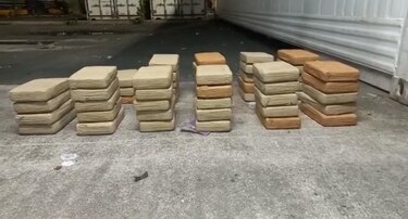 Tras allanamientos se incautan de 52 paquetes con droga en terminal portuaria en Balboa