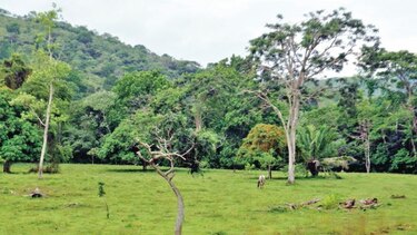 Concluye juicio a 12 imputados por caso de finca sacapresos