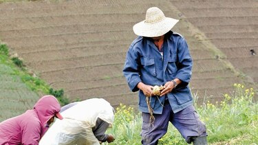 Empresarios proponen cambios en el sector agro
