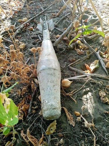 Confirman hallazgo de proyectil de uso militar en Isla Cañas