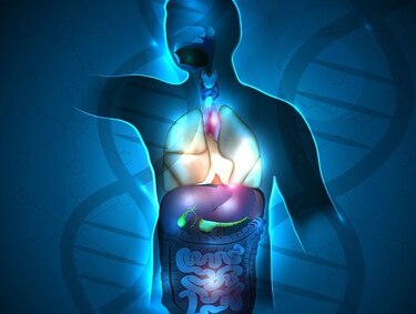 Consejos para no afectar su sistema digestivo