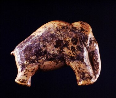 Seres humanos causaron la extinción de al menos dos grandes mamíferos
