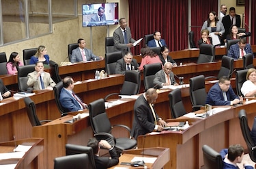 La Asamblea Nacional habilitaría sistema de voto electrónico el próximo año