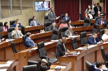 La Asamblea Nacional habilitaría sistema de voto electrónico el próximo año