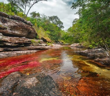 Niegan demanda de empresa de Estados Unidos que quería sacar petróleo en área protegida de Colombia