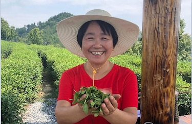 El té en China: más que una bebida, un símbolo cultural