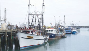 Panamá será auditada por la Unión Europea en junio  sobre los controles en la pesca