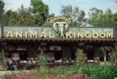 Familia planea demanda a Disney por mordida de serpiente