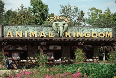 Familia planea demanda a Disney por mordida de serpiente