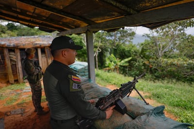 El tapón del Darién después del éxodo: 320 migrantes desafiaron la selva este año 
