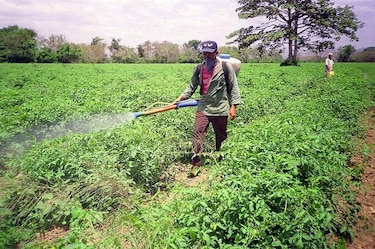 Proyecto de ley que regula el uso de agroquímicos irá a consulta
