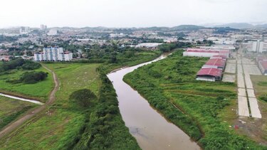 ‘Urge misión de asesoramiento técnico en humedal bahía de Panamá’: Dominici
