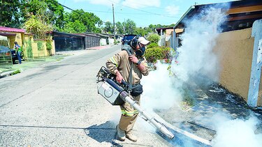 Alto índice de criaderos en San Miguelito
