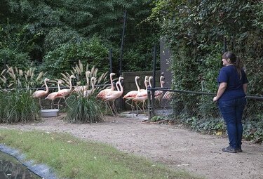 Zoológico protege animales antes de la llegada de Florence