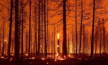 El cambio climático es la principal causa de los incendios en el oeste de Estados Unidos