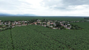Chiquita Panamá inicia despido masivo de 5,000 trabajadores; este viernes entregará liquidaciones