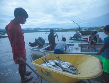 Darán subsidio a 5,527 pescadores artesanales por alza del combustible