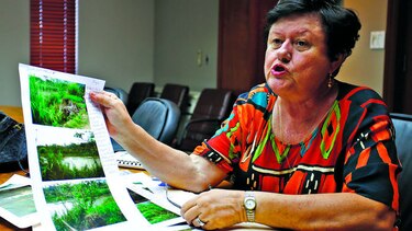 Ministerio de Ambiente apuesta por comité para rescatar río Pacora