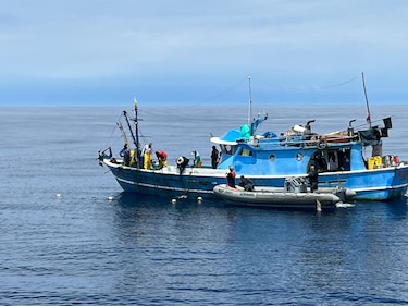 Detectan 16 naves pesqueras ilegales en  área protegida Cordillera de Coiba