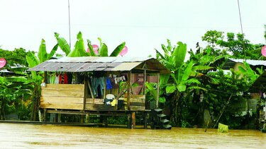 Miviot estudia suelos para erigir 200 casas en Darién