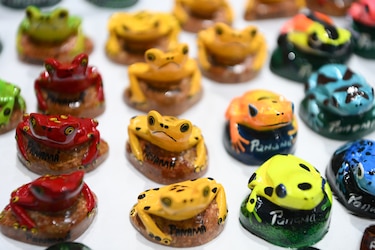 Sombreros, cutarras y mucho más: un recorrido por la Feria Nacional de Artesanías 2026