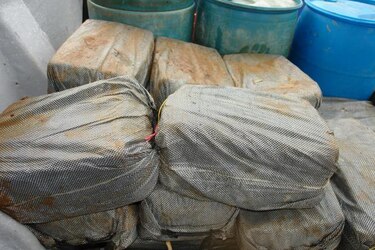 Senan decomisó más de media tonelada de cocaína en Colón