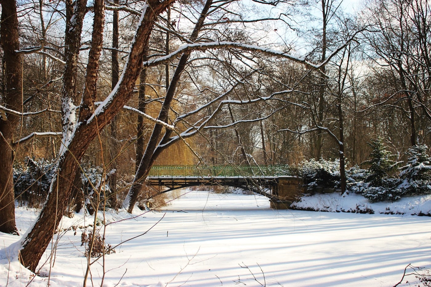 El Tiergarten de Berlín cubierto de nieve en invierno