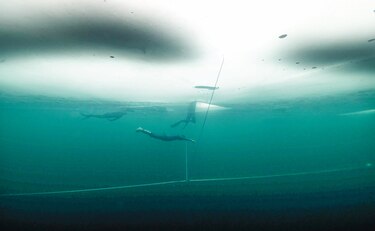 La apnea bajo hielo, disciplina en auge