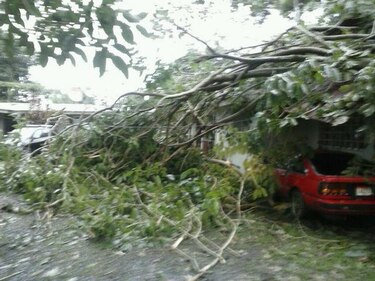 Se restablece energía eléctrica en Bocas del Toro tras fuertes lluvias
