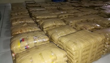Autoridades se incautan de 788 paquetes de marihuana en Pocrí