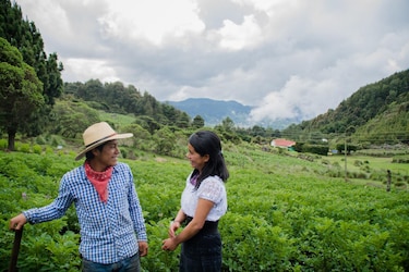 Año Internacional de la Agricultora 2026: una agenda de financiamiento e innovación para América Latina y el Caribe