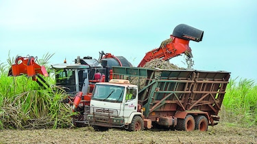 Brasil produce más azúcar