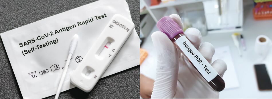 Panamá termina el 2023, entre el brote epidémico de dos enfermedades