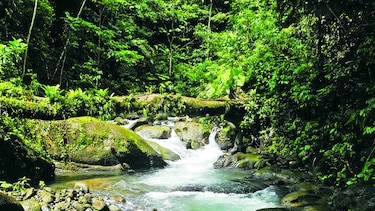 Conexión con la naturaleza