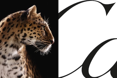 Cartier celebra a su ícono felino