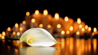 En memoria de Roxie Carmela Audía Lawson 