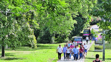 $800 mil para el parque Omar