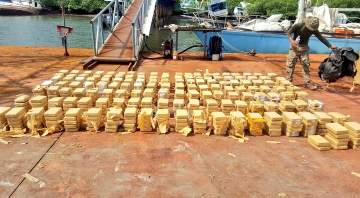 En lo que va del año han decomisado más de 11 toneladas de droga | La ...