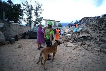Sismo de 6.2 grados destruye ciudad italiana de Amatrice