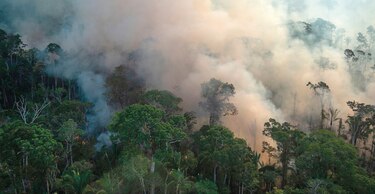 Deforestación de la Amazonía  marca récord 