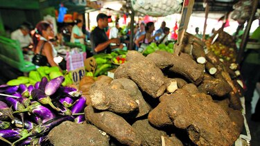 Comercializarán ñame darienita