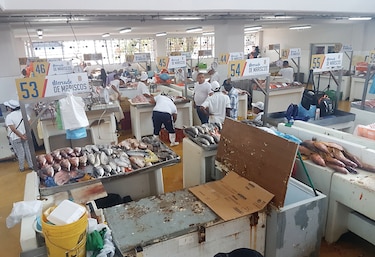 El buen pescado panameño se comercializa afuera