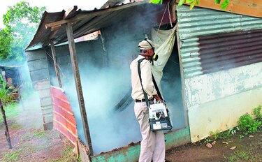 Ministerio de Salud registra aumento en el país en casos de dengue