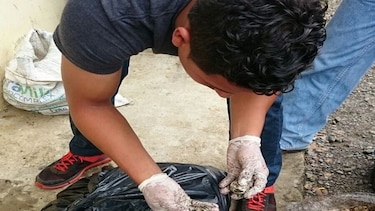 Los Santos: Cuatro aprehendidos por trasiego ilegal de huevos