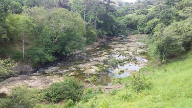 Ambientalistas piden medidas de conservación para reserva hidrológica en Macaracas
