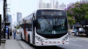 MiBus pondrá en marcha segunda fase de la red de transporte para el sector este