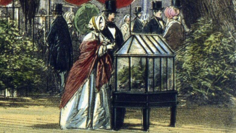 Qué son las ingeniosas cajas de Ward y cómo transformaron la economía mundial