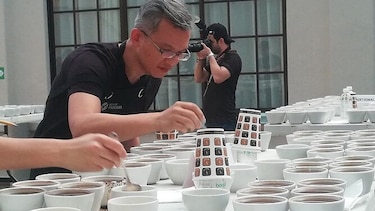 Con 78 lotes se inicia la cata del mejor café de Panamá