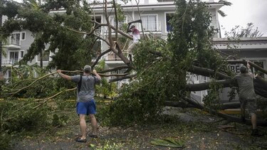 Huracán María derriba postes y árboles en República Dominicana