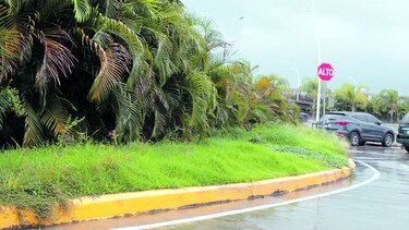 Parte de la cinta costera se queda sin mantenimiento